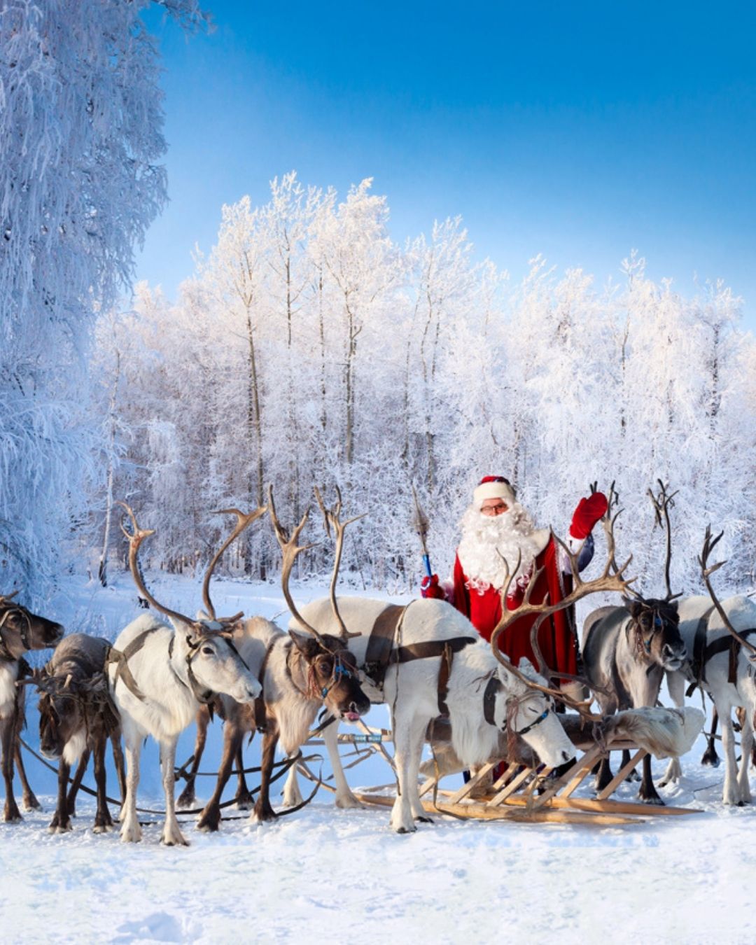 İZMİR’DEN AKTARMASIZ UÇAKLA LAPLAND & KUZEY IŞIKLARI