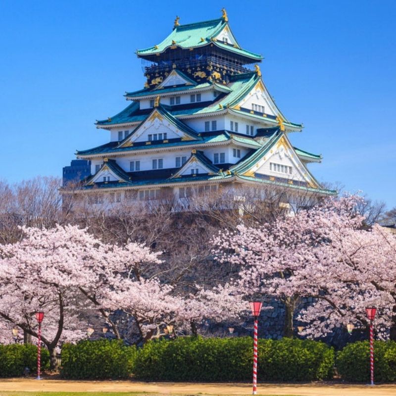 İZMİR ÇIKIŞLI BÜYÜK JAPONYA TURU TÜM TURLAR DAHİL