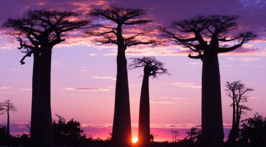 MADAGASKAR MAURİTİUS TURU