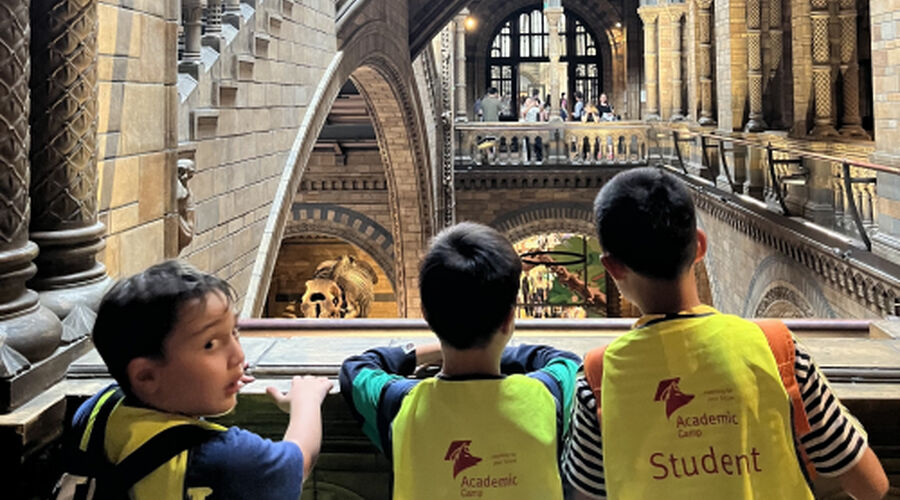 Academic Summer - DLD College- London - İngiltere