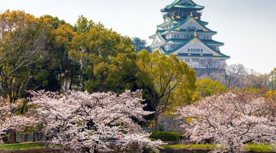 İzmir Çıkışlı Sakura Dönemi Japonya ve Kore Turu