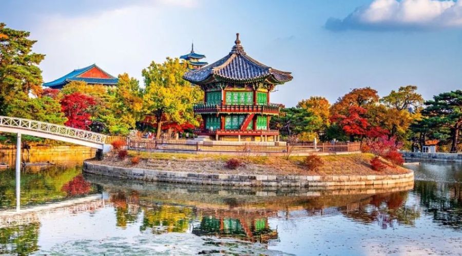 İzmir Çıkışlı Vizesiz  Sakura Zamanı Uzak Doğu'nun Çiçeği ve Güneşi