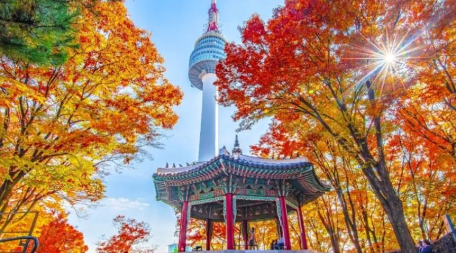 İzmir Çıkışlı Vizesiz  Sakura Zamanı Uzak Doğu'nun Çiçeği ve Güneşi